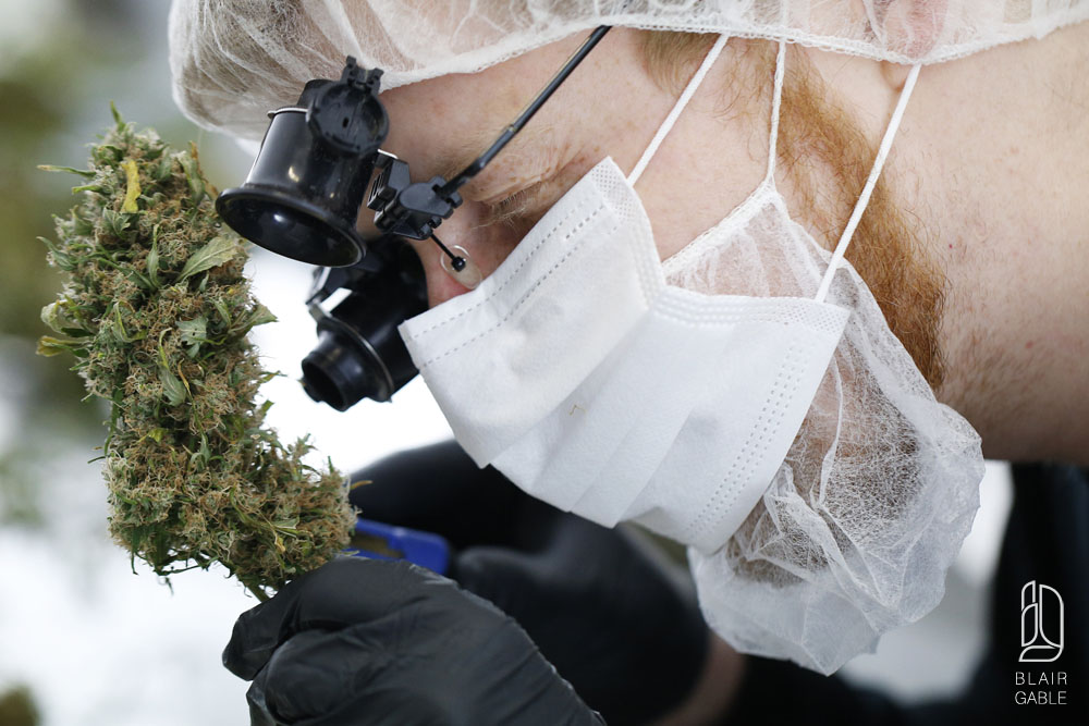 Canadian medical marijuana company Tweed